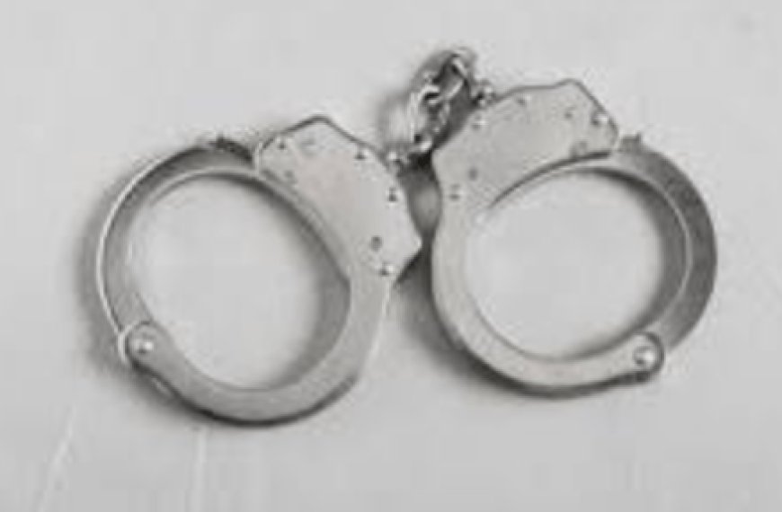 विजिलेंस ने रिश्वत लेते राजस्व उपनिरीक्षक को किया गिरफ्तार