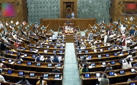 Sansad Diary: प्रदूषण, रुपये की गिरावट, पान मसाला उपकर: संसद के चौथे दिन गरमागरम बहस