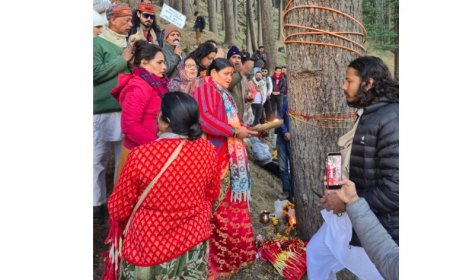 देवदारों पर मंडरा रहा खतरा, हर्षिल में फिर गूंजा ‘रक्षासूत्र आंदोलन