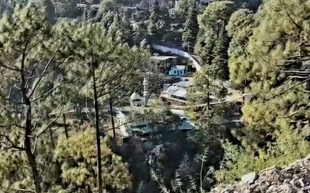 नैनीताल : भवाली के पास दो नाली में बनी मस्जिद ने 43 नाली भूमि कब्जाई ? वन विभाग, प्रशासन की भूमिका पर उठे सवाल