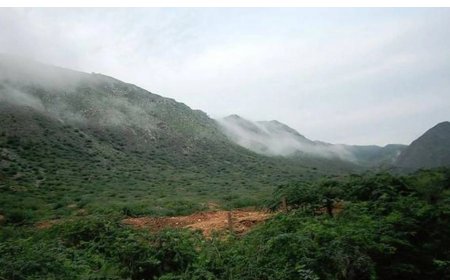 Aravalli की नई परिभाषा पर सवाल, वरिष्ठ वकील ने CJI से की पुनर्विचार की मांग: पर्यावरण संरक्षण पर खतरा?