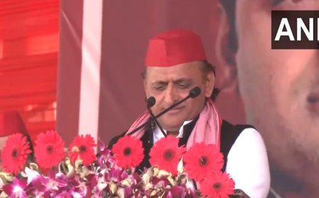 'दिल्ली और लखनऊ की लड़ाई यहां तक...', CM Yogi के 'दो नमूने' वाले कटाक्ष पर अखिलेश यादव का पलटवार