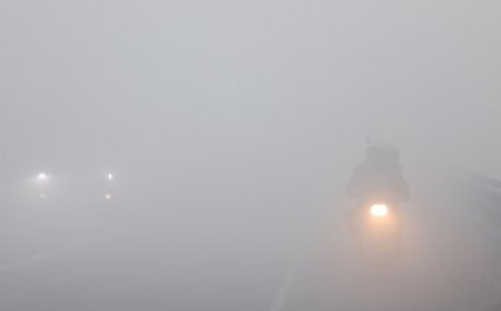 उत्तराखंड में कोहरे का कहर: ट्रेनें लेट, नए साल में बारिश-बर्फबारी की संभावना