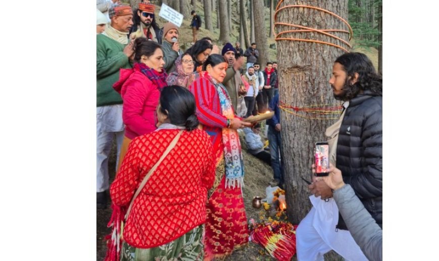 देवदारों पर मंडरा रहा खतरा, हर्षिल में फिर गूंजा ‘रक्षासूत्र आंदोलन
