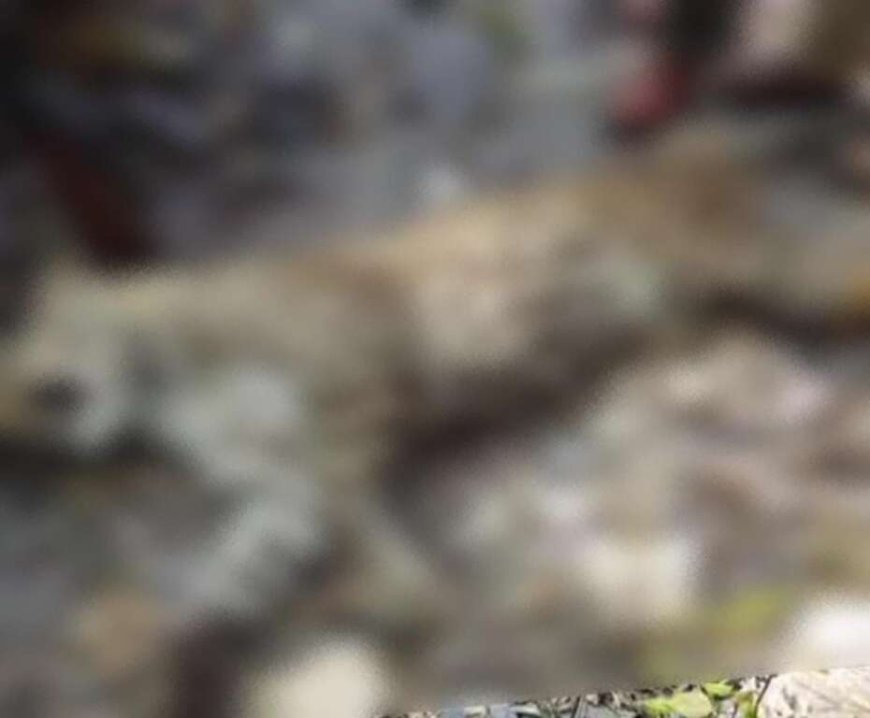 पौड़ी : गजल्ड गांव में आतंक का पर्याय बने आदमखोर गुलदार को शिकारी जॉय हुकिल ने किया ढेर