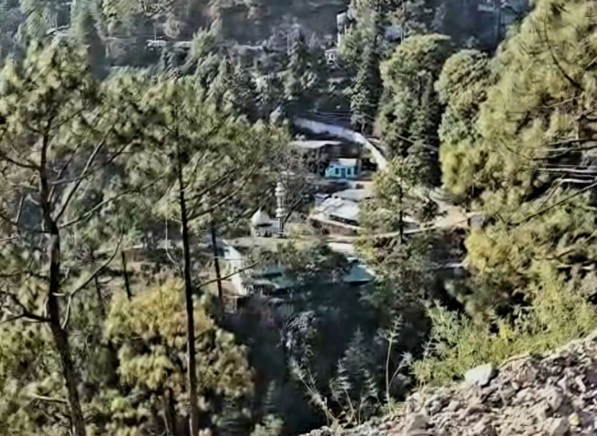 नैनीताल : भवाली के पास दो नाली में बनी मस्जिद ने 43 नाली भूमि कब्जाई ? वन विभाग, प्रशासन की भूमिका पर उठे सवाल