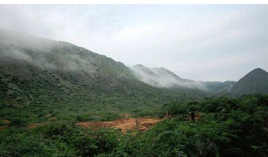 Aravalli की नई परिभाषा पर सवाल, वरिष्ठ वकील ने CJI से की पुनर्विचार की मांग: पर्यावरण संरक्षण पर खतरा?