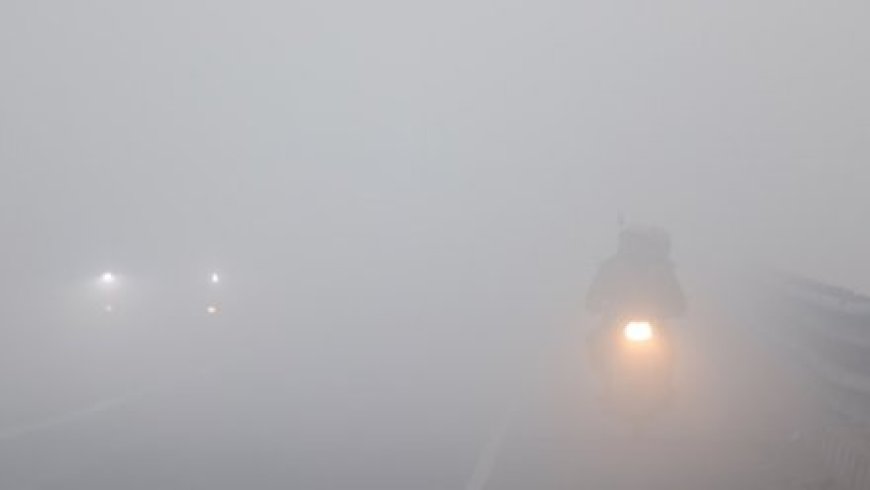 उत्तराखंड में कोहरे का कहर: ट्रेनें लेट, नए साल में बारिश-बर्फबारी की संभावना