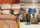 उत्तराखंड पुलिस ने 558 किलो गांजा पकड़ा, ओडिशा से आ रही थी नशे की खेप
