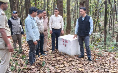 जोहड़ी वन भूमि पर गलत कब्जे के मामले में विद्युत अधिकारी और अतिक्रमणकारी के खिलाफ मुकदमा दर्ज