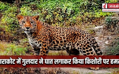 बाराकोट में किशोरी पर गुलदार का घातक हमला, प्रशासन ने समय पर बचाई जान