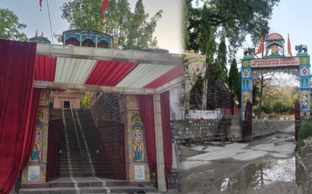 राजाजी टाइगर रिजर्व के कोर जोन में मंत्री के बेटे की शादी पर बवाल, विभाग ने हटाया सामाना