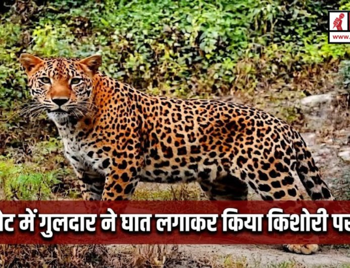 बाराकोट में किशोरी पर गुलदार का घातक हमला, प्रशासन ने समय पर बचाई जान