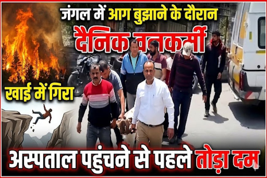 नैनीताल में आग बुझाने हेतु गए वनकर्मी की खाई में गिरने से मौत, विभाग में मचा हड़कंप