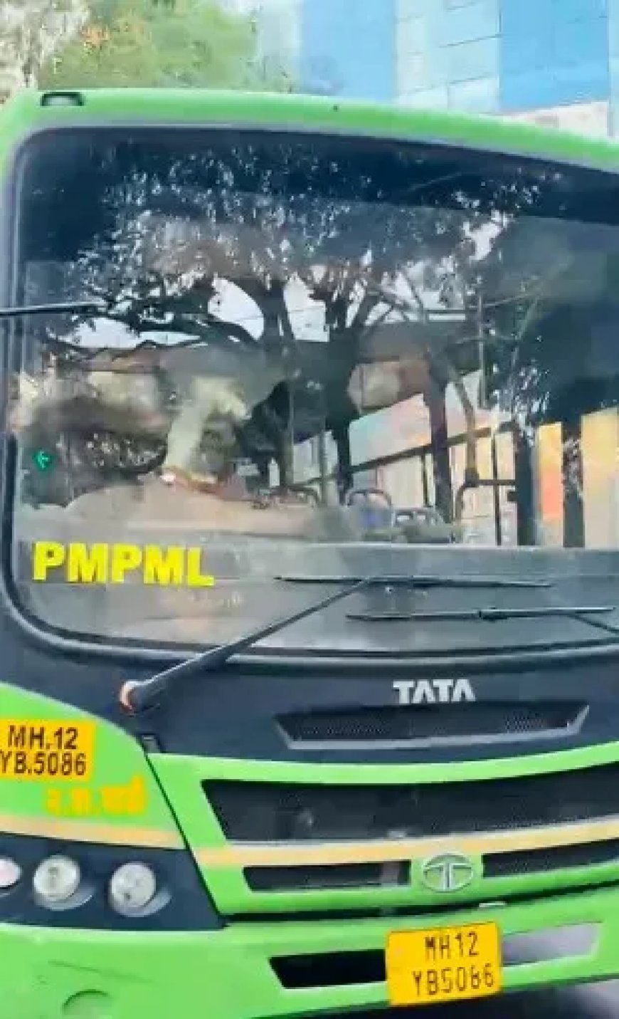 पुणे में बस चोरी की सनसनी, डिवाइडर से टकराने का मामला