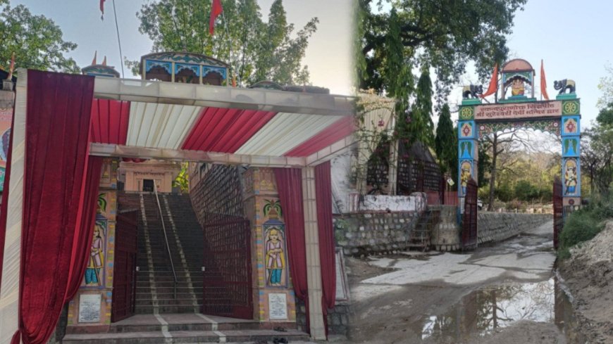 राजाजी टाइगर रिजर्व के कोर जोन में मंत्री के बेटे की शादी पर बवाल, विभाग ने हटाया सामाना