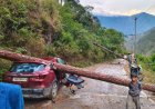 उत्तराखंड के उत्तरकाशी में भारी तूफान से गाड़ी पर गिरा विशालकाय पेड़, जनहानि से बचाव