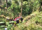 उत्तराखंड: भवाली राति घाट के निकट दर्दनाक सड़क दुर्घटना, 5 लोगों की जान गई