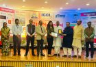 जीएनआईओटी इंस्टीट्यूट ऑफ मैनेजमेंट स्टडीज़ को मिला बेस्ट मैनेजमेंट कॉलेज प्लेसमेंट अवॉर्ड 2026