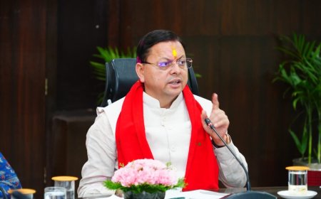 देहरादून: धामी कैबिनेट ने 19 प्रस्तावों पर लगाई मोहर, ईंधन और ऊर्जा बचत पर खास निर्णय