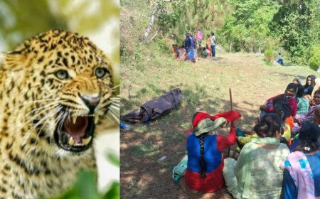 पौड़ी में गुलदार का आतंक बढ़ता जा रहा है, कमंद गांव में 61 वर्षीय बुजुर्ग की जान गई