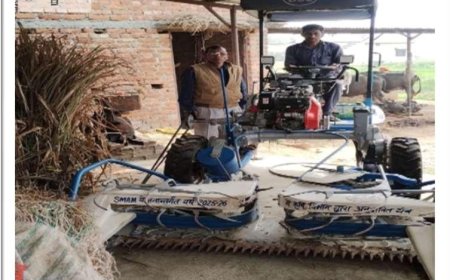 आधुनिक खेती की नई परिभाषा: बेनी सिंह ने बदल दी क्षेत्र की खेती!