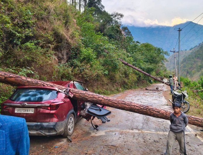 उत्तराखंड के उत्तरकाशी में भारी तूफान से गाड़ी पर गिरा विशालकाय पेड़, जनहानि से बचाव