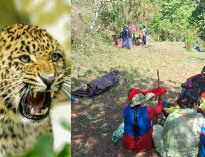 पौड़ी में गुलदार का आतंक बढ़ता जा रहा है, कमंद गांव में 61 वर्षीय बुजुर्ग की जान गई