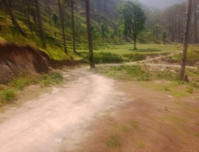 58 करोड़ की मंजूरी के बावजूद 13 साल से अधूरी सड़क, गर्भवती महिलाओं को कुर्सी पर ले जा रहे ग्रामीण