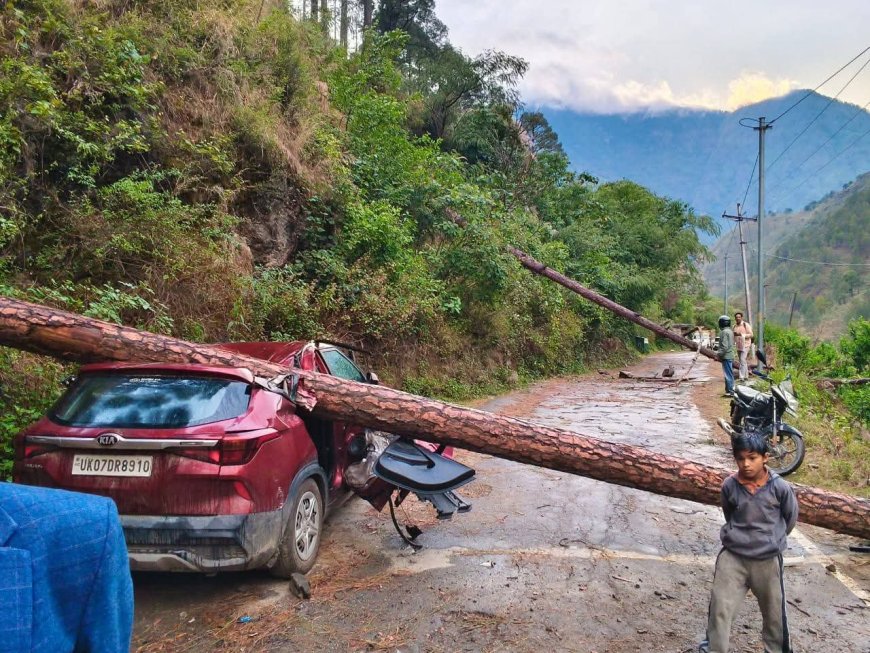 उत्तराखंड के उत्तरकाशी में भारी तूफान से गाड़ी पर गिरा विशालकाय पेड़, जनहानि से बचाव