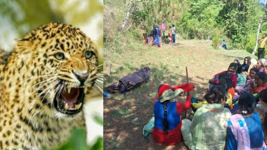 पौड़ी में गुलदार का आतंक बढ़ता जा रहा है, कमंद गांव में 61 वर्षीय बुजुर्ग की जान गई
