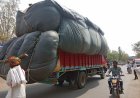 नैनीताल: डीएम ने भूसे के परिवहन एवं भण्डारण पर लगाई सख्त रोक