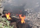 उत्तराखंड में दिल दहला देने वाला हादसा: खाई में गिरी कार में आग लगने से दो लोगों की जान गई