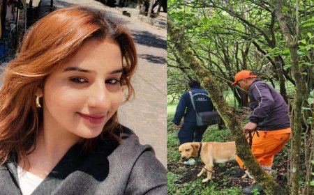 उत्तरकाशी के दयारा बुग्याल ट्रैक पर लापता बबीता पांडेय की खोज में तेज़ी, रहस्य बना हुआ है उसका अंतिम लोकेशन