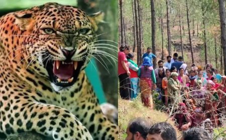 पौड़ी: दिनदहाड़े घास लेने गई महिला को गुलदार ने बनाया शिकार, क्षेत्र में फैला आतंक