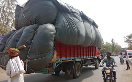 नैनीताल: डीएम ने भूसे के परिवहन एवं भण्डारण पर लगाई सख्त रोक