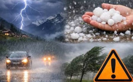 गर्मी और आफत: उत्तराखंड के 8 जिलों में यलो अलर्ट जारी, बुधवार तक बारिश की संभावना