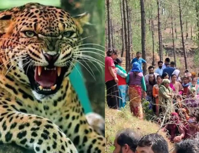 पौड़ी: दिनदहाड़े घास लेने गई महिला को गुलदार ने बनाया शिकार, क्षेत्र में फैला आतंक