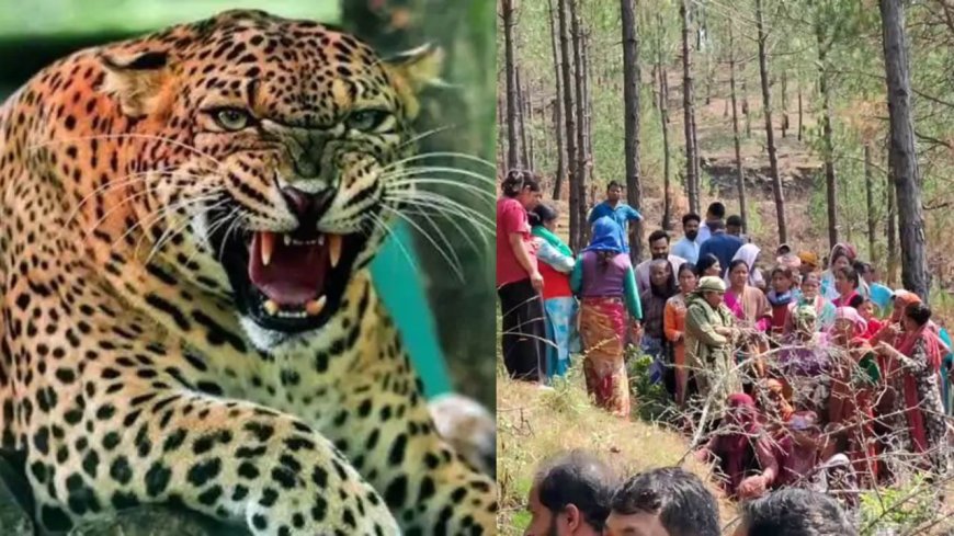 पौड़ी: दिनदहाड़े घास लेने गई महिला को गुलदार ने बनाया शिकार, क्षेत्र में फैला आतंक
