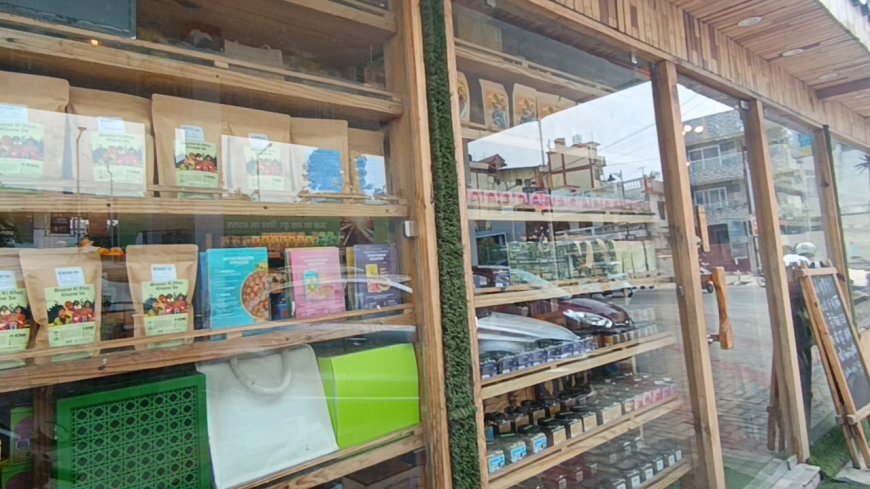 उत्तराखंड का स्वाद, अब पेट्रोल पंप पर! डोईवाला में खुल रहा पहला Hillans Outlet, SHG महिलाओं को बड़ा बाजार
