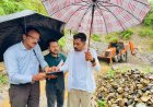 देहरादून में मूसलधार बारिश पर प्रशासन का कड़ा रुख, डीएम ने दिए सख्त निर्देश