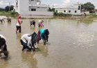 देहरादून की सांस्कृतिक धरोहर फिर से जिंदा! ‘दून बासमती’ का पुनर्जीवन