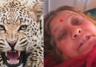 65 साल की वीर महिला का अद्भुत साहस, गुलदार के हमले में दरांती से बचाई जान