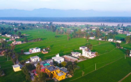 देहरादून: बापूग्राम, चौवन बग्गा और बिंदुखत्ता पर कैबिनेट की नई दिशा