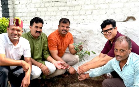 हरेला पर्व पर CIMS एवं UIHMT कॉलेज में रोपण कार्यक्रम, हरियाली और पर्यावरण की रक्षा का संकल्प