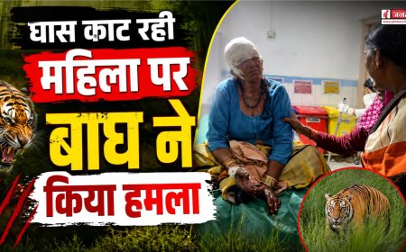 घास काटने वाली महिला पर बाघ का हमला, बहू ने बचाई जान, क्षेत्र में दहशत फैली