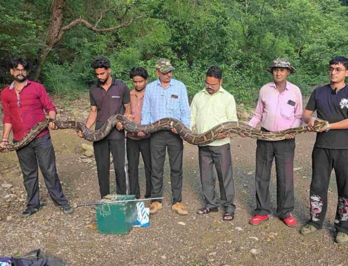 उत्तराखंड में मिला 18 फीट लंबा विशालकाय अजगर, जानें पूरे मामले की हैरान कर देने वाली बातें