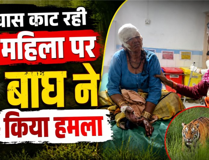 घास काटने वाली महिला पर बाघ का हमला, बहू ने बचाई जान, क्षेत्र में दहशत फैली
