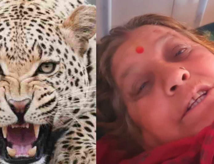 65 साल की वीर महिला का अद्भुत साहस, गुलदार के हमले में दरांती से बचाई जान