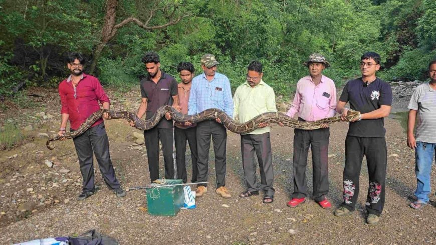 उत्तराखंड में मिला 18 फीट लंबा विशालकाय अजगर, जानें पूरे मामले की हैरान कर देने वाली बातें